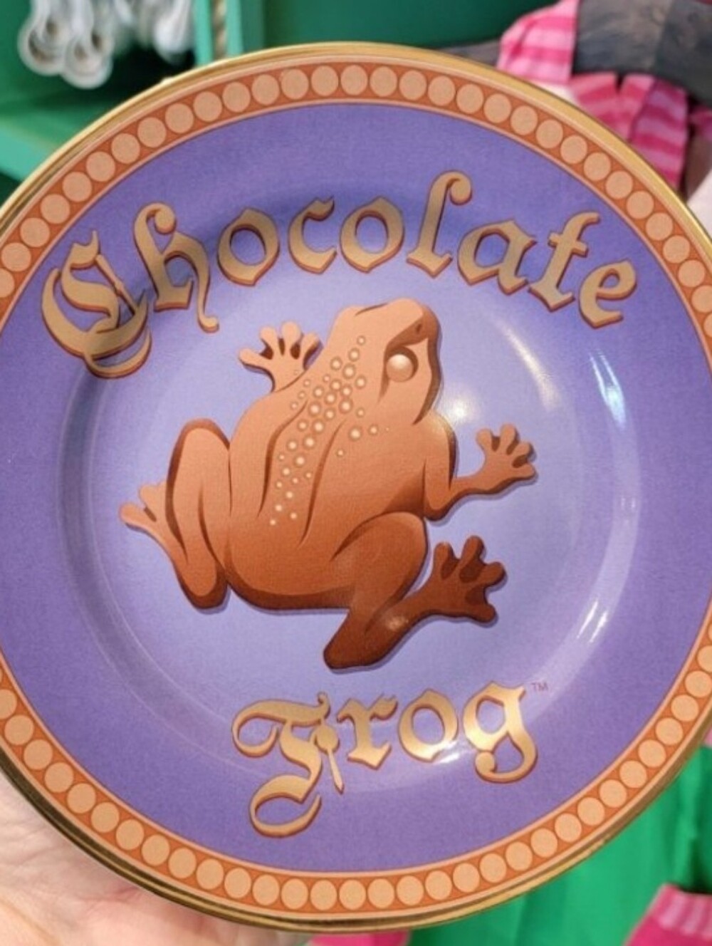 Universal Studios The Wizarding World Of Harry Potter Chocolate Frog Plate NWT